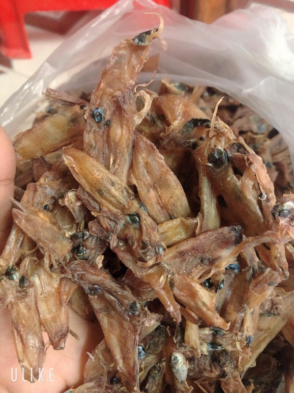 KHÔ MỰC NGUYÊN CON -500gr